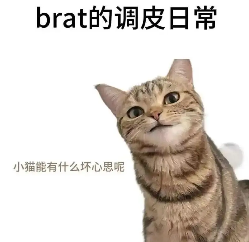 【西檬之家】