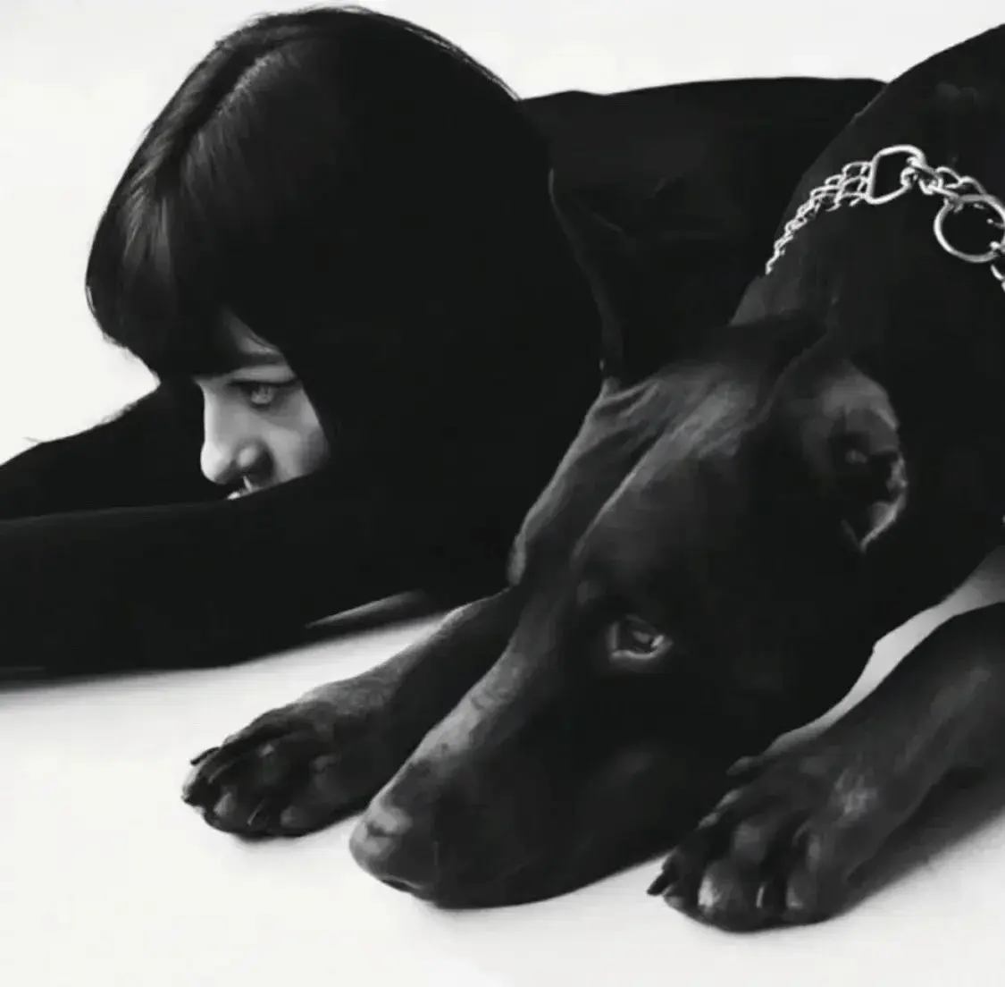 西檬之家-Ddlg是什么？你的字母圈属性是什么？