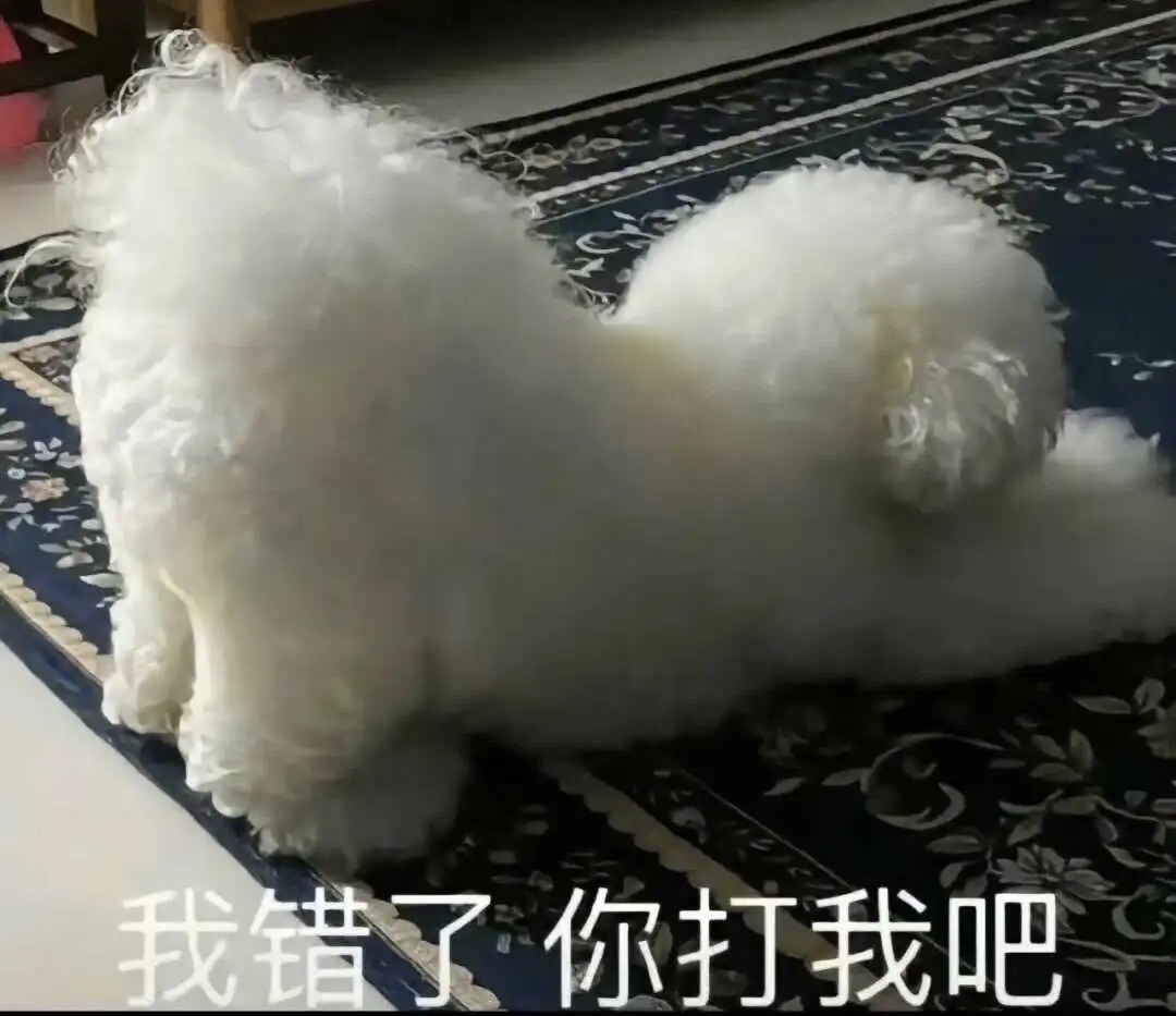 西檬之家-字母圈DOM是什么意思？