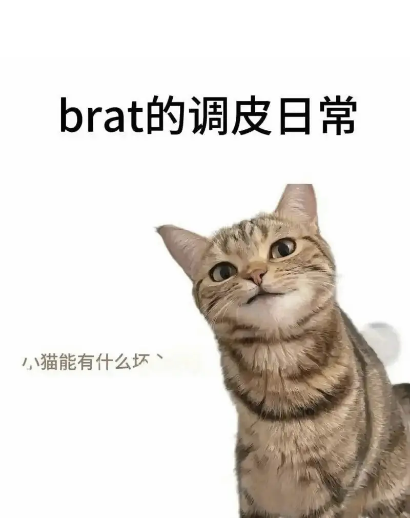 【西檬之家】BDSM新人指南：如何理解管教与核心术语
