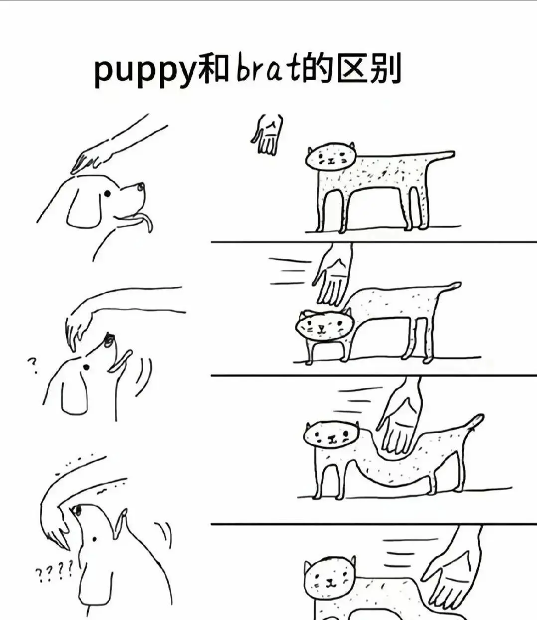 西檬之家-斯慕圈入门指南