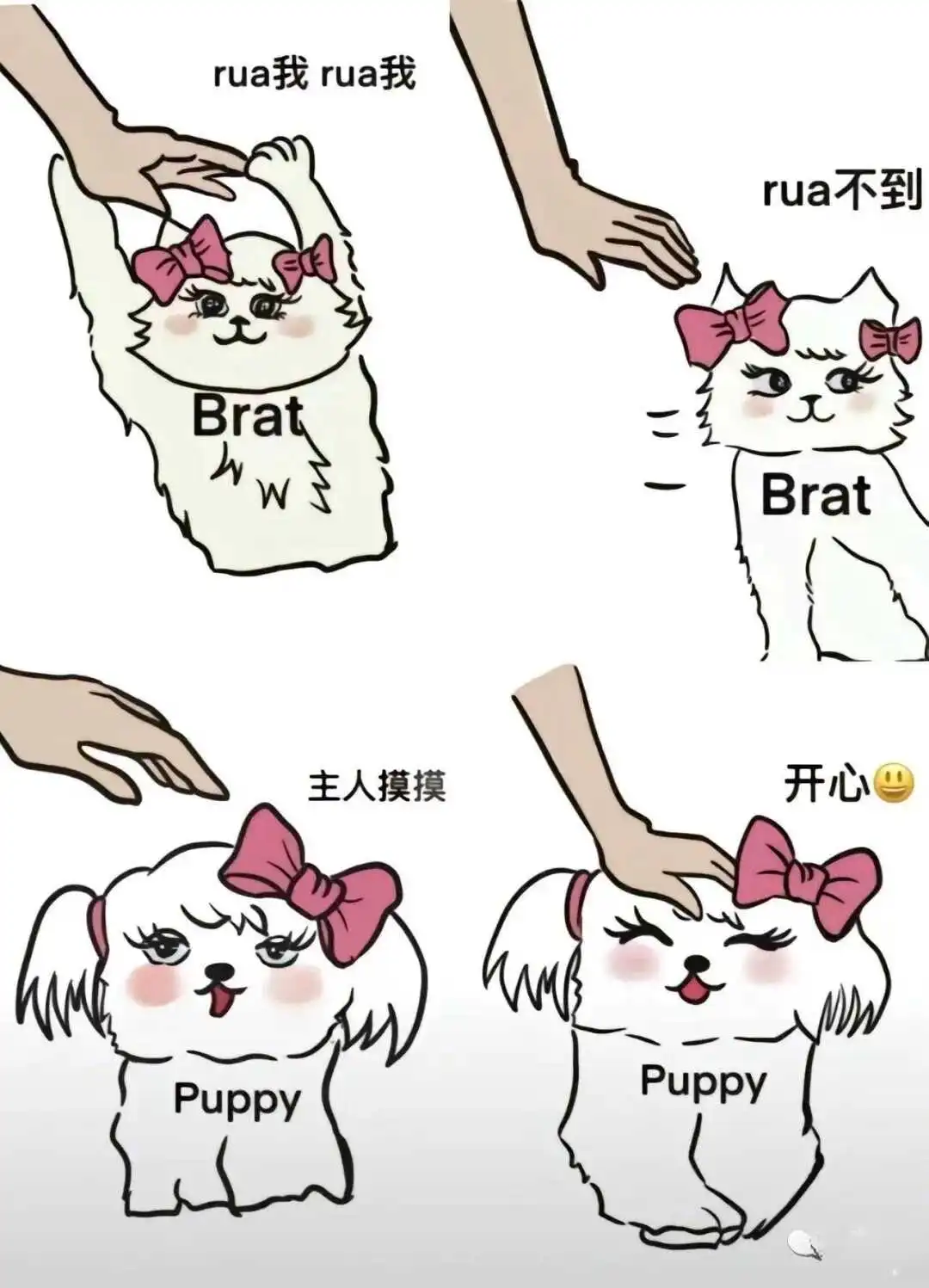 【西檬之家】DT是什么？BDSM字母圈新人入圈指南